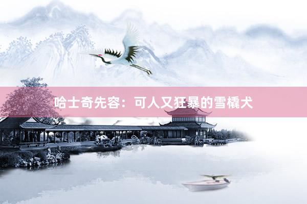 哈士奇先容：可人又狂暴的雪橇犬